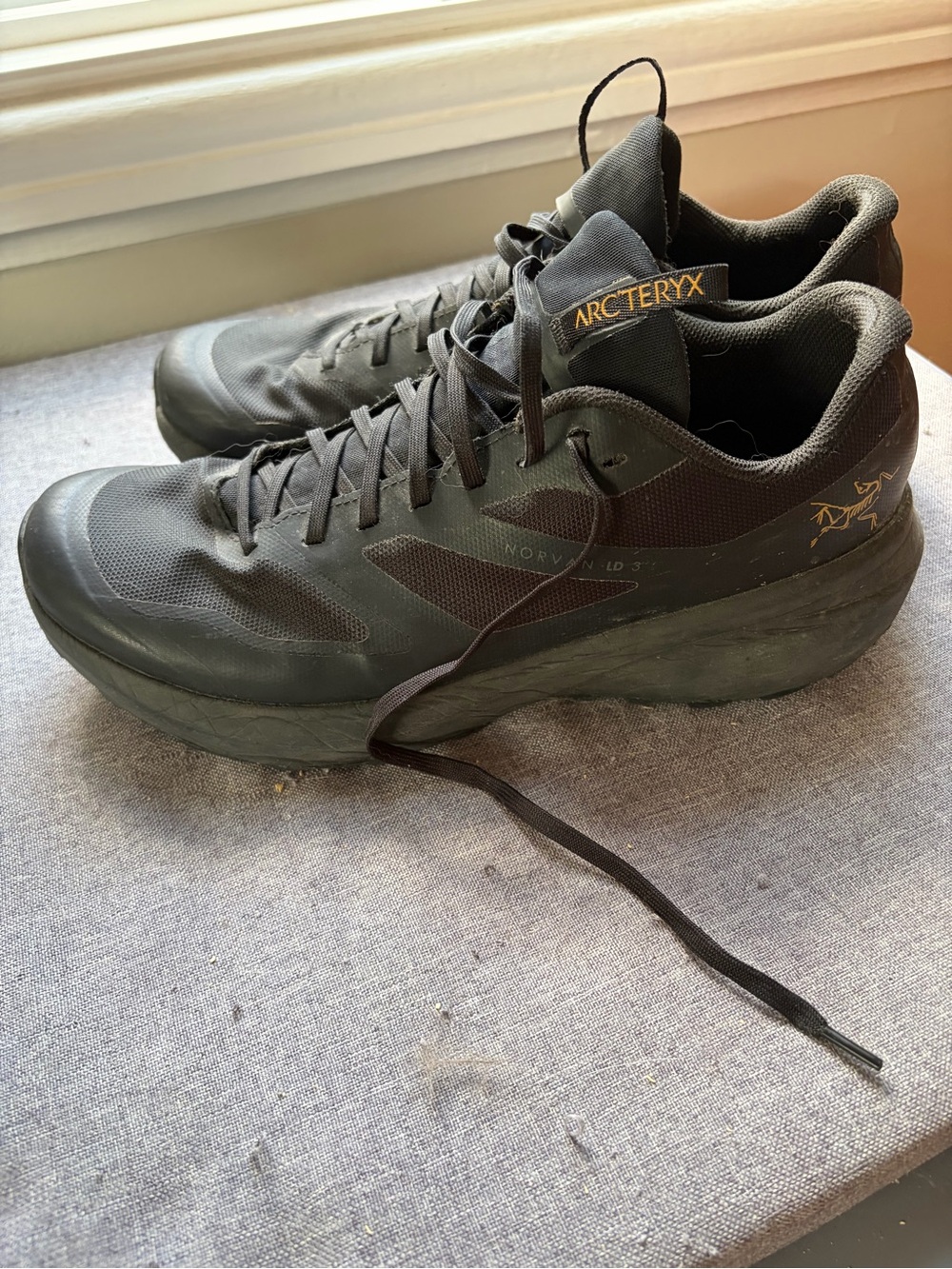 Arc'teryx Men's Black Trail Running Shoes with Gold Logo